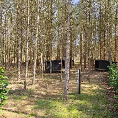 Cozy In With Sauna Vakantiehuis